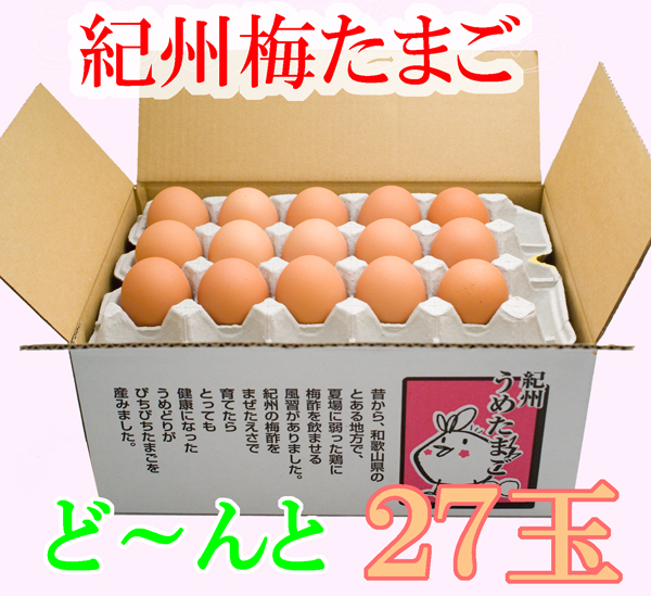 朝採れた新鮮卵をど〜んと２７玉プラス割れ保証分３玉
