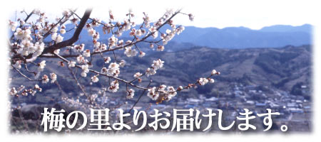 ~̗̉摜